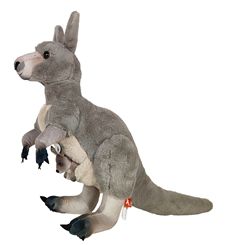 Cangura Kangaroo