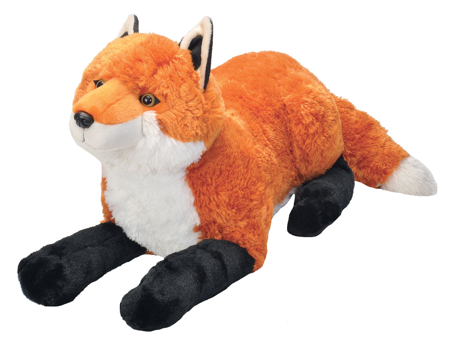 Renard Red Fox