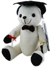 Hancock Graduation Bear