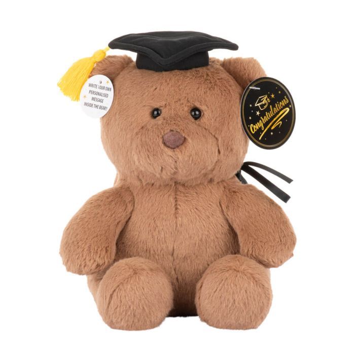 Clever Ted Message Bear