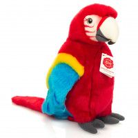Squawk