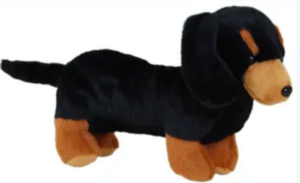 Schnitzel Dachshund