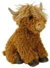 Angus Highland Cow