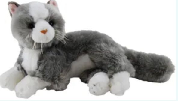 Mittens Grey Cat