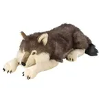 Alaska Wolf