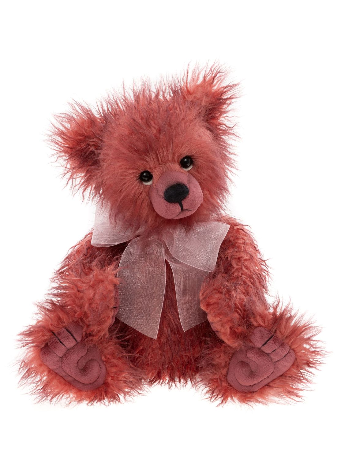 Toddle ~ Preorder