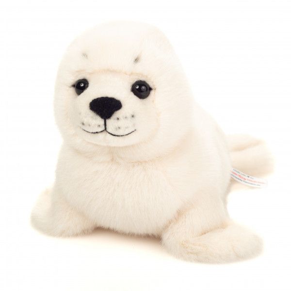 Robbie Seal