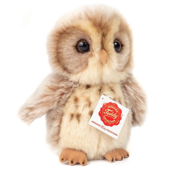Archimedes Owl