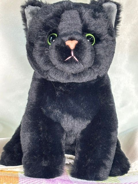 Shadow Cat