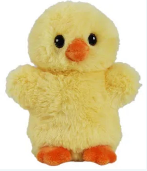 Little Feet Chick