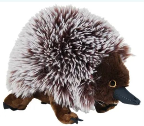 Spike Echidna