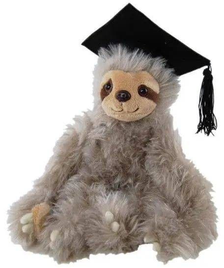 Gary Graduation Sloth