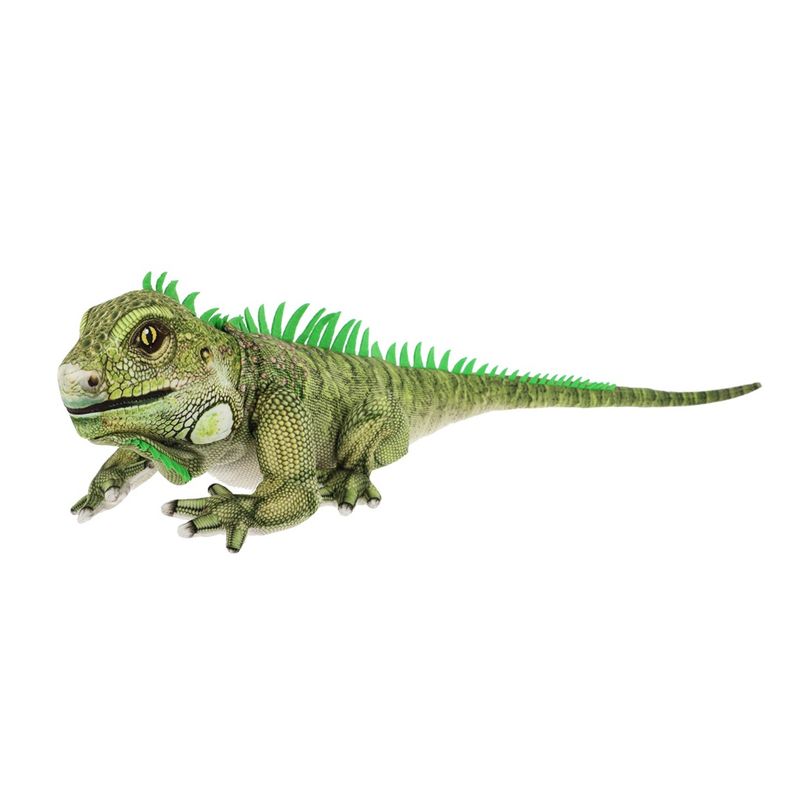 Igor Iguana