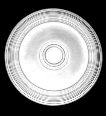 Rozeta Dekorum No.33