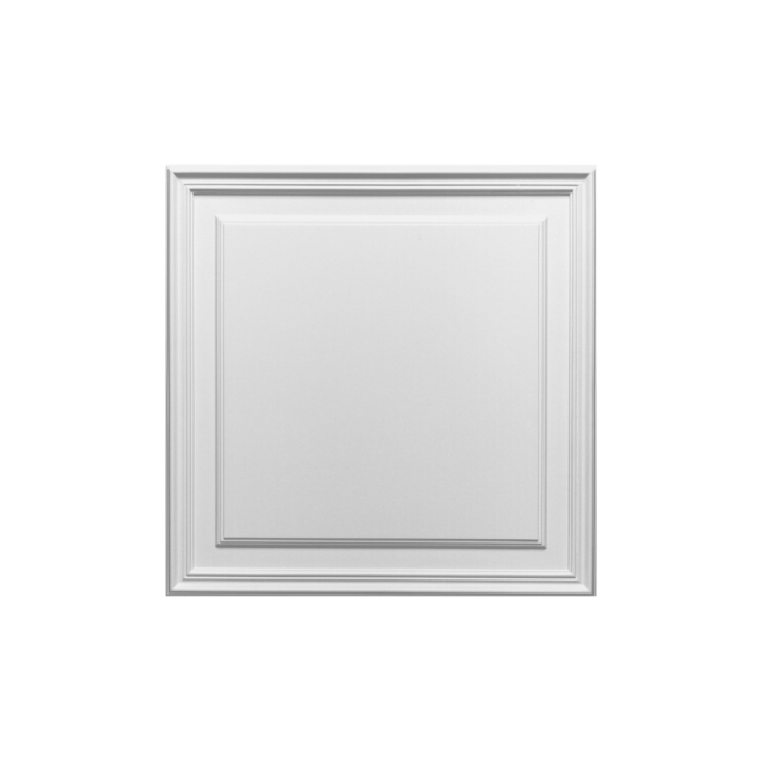 Element dekoracyjny D503