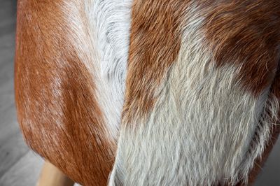 Tabouret HIDE 45cm en cuir de chèvre et bois de teck marron et blanc - 35441