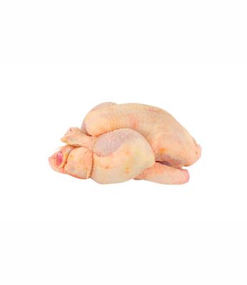 Poussin
