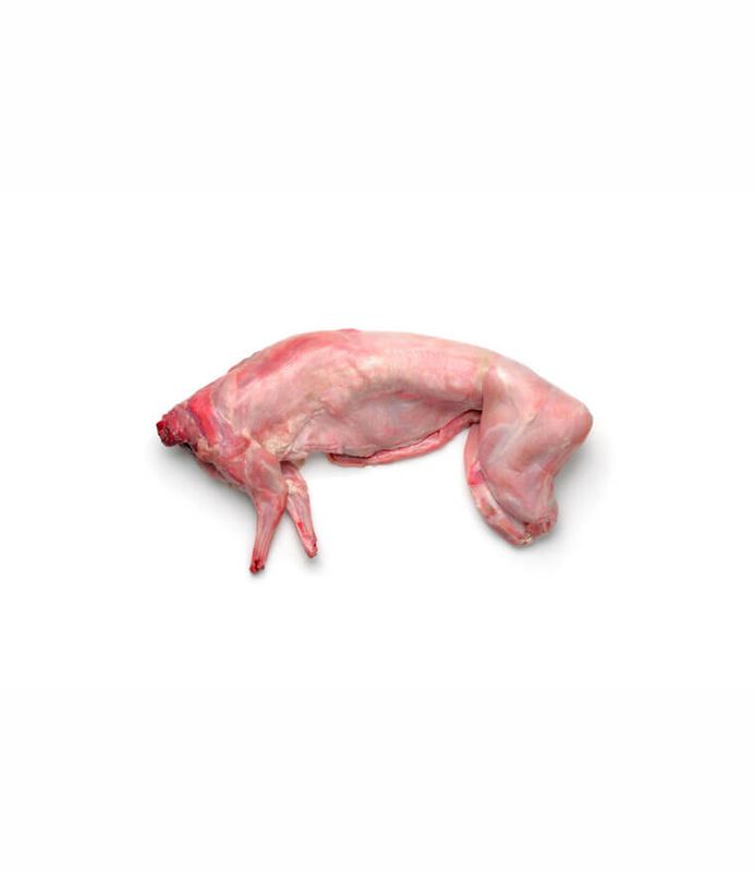 Tam konijn heel