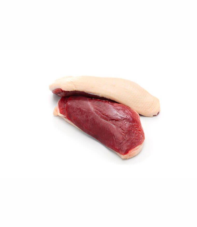 Tamme eendenborstfilet