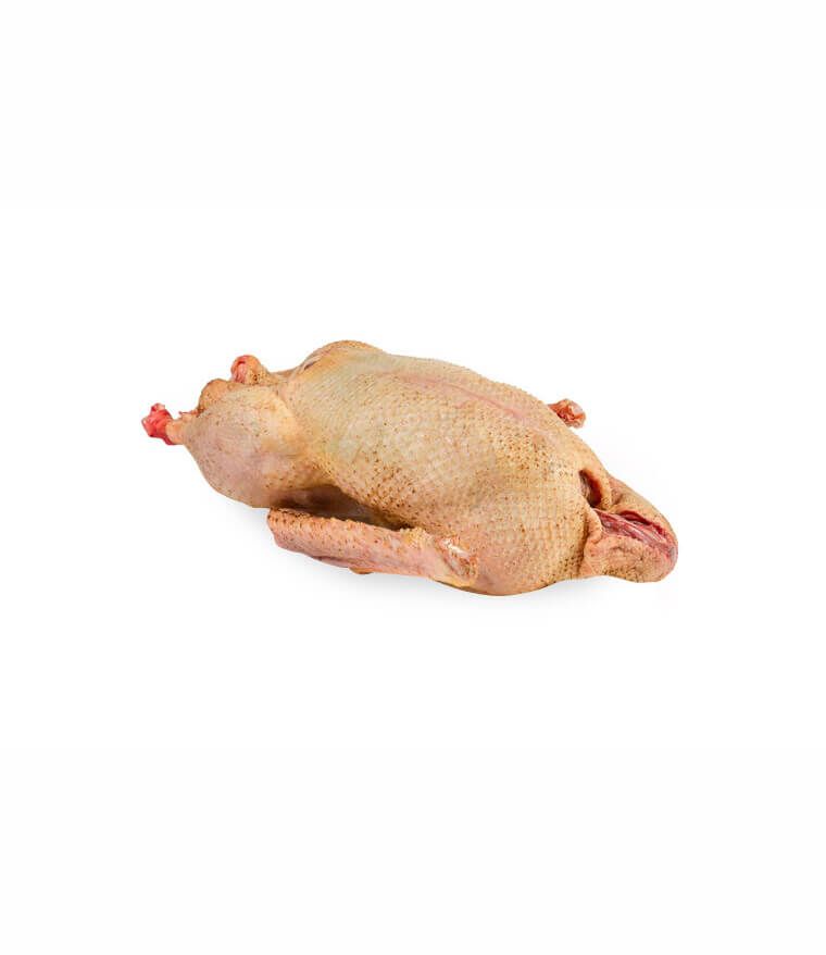 Hele gans tam