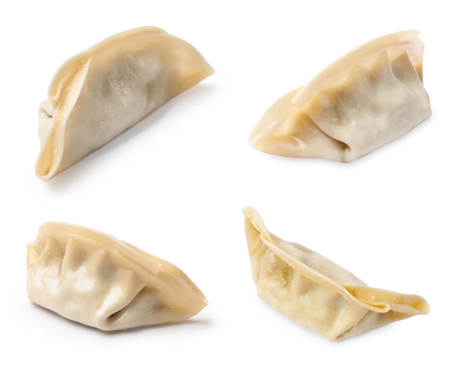 Gyoza met kip