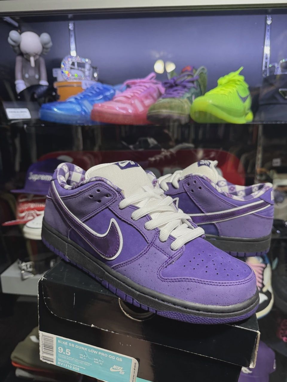 Nike SB Dunk Low Concepts Purple Lobster • Pre-Owned [6280]