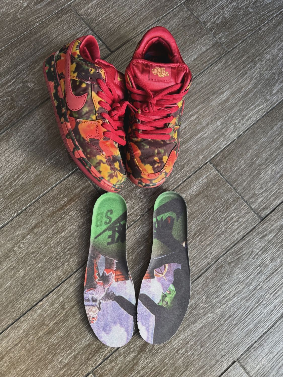 Nike SB Dunk Low The Wizard of Oz Poppy Field • Pre-Owned [8070]