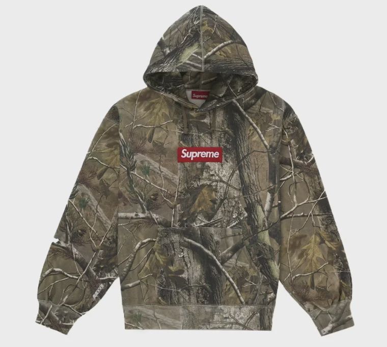 Supreme Box Logo Hooded Sweatshirt (FW25) Realtree AP Camo • Brand New [0854]