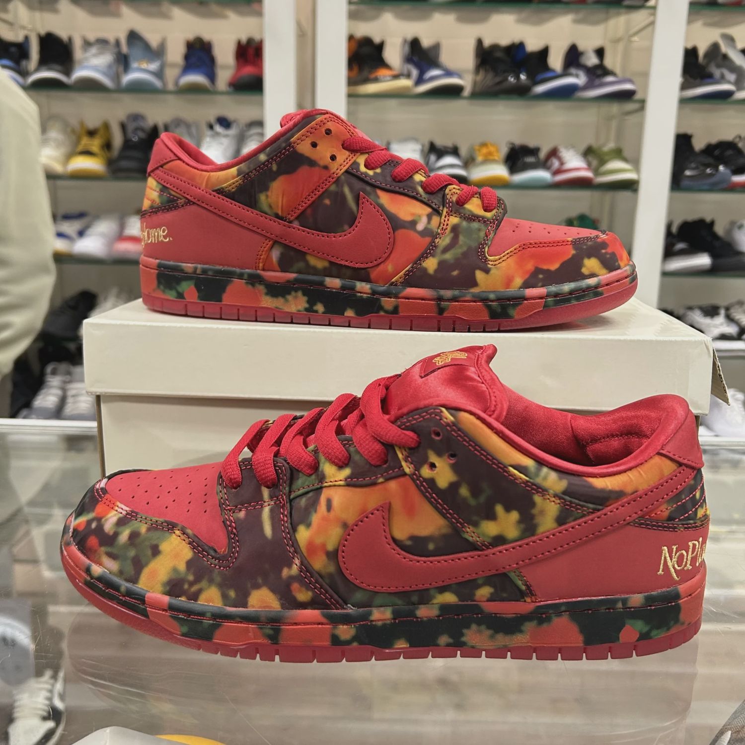 Nike SB Dunk Low The Wizard of Oz Poppy Field • Brand New [1962]