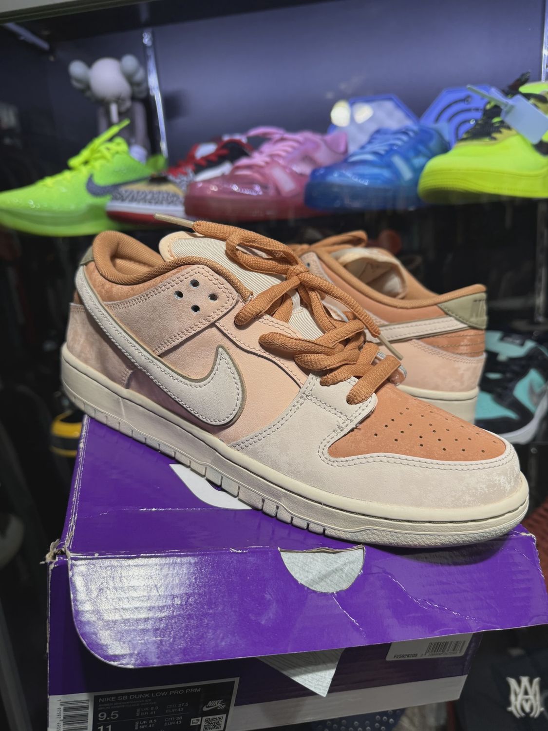 Nike SB Dunk Low Trocadéro Gardens • Pre-Owned [3015]