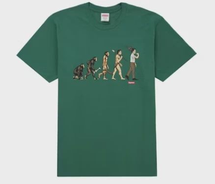 Supreme evolution tee • Brand New [2383]