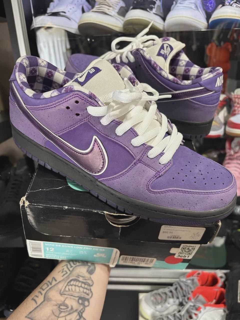 Nike SB Dunk Low Concepts Purple Lobster • Pre-Owned [0426]