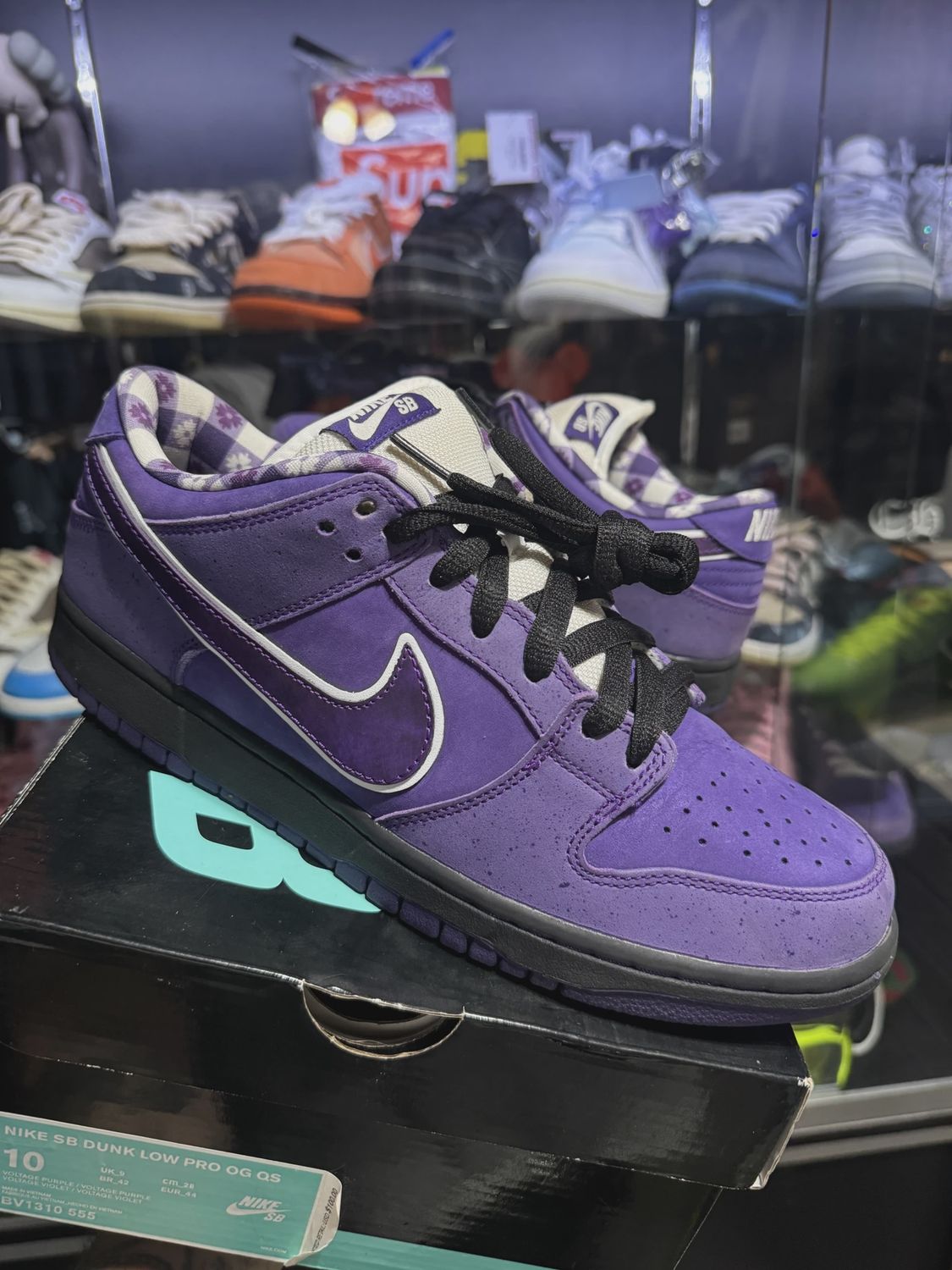 Nike SB Dunk Low Concepts Purple Lobster • Pre-Owned [9896]