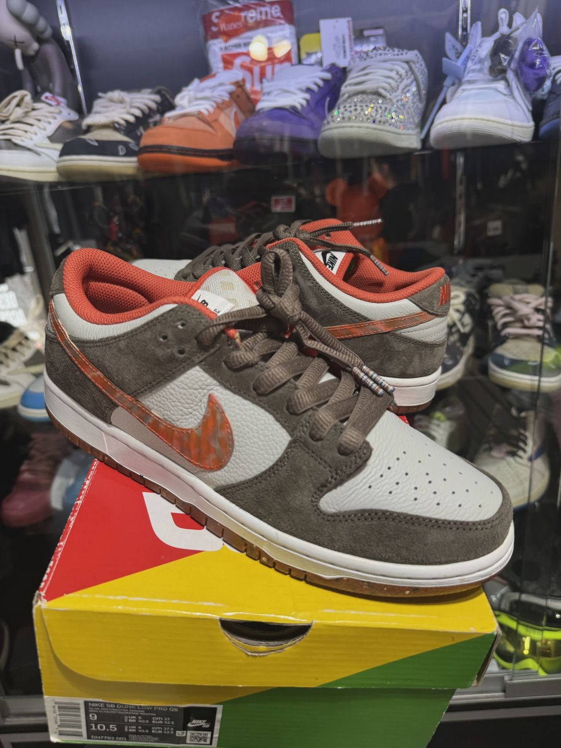 Nike SB Dunk Low Crushed D.C. • Pre-Owned [0245]