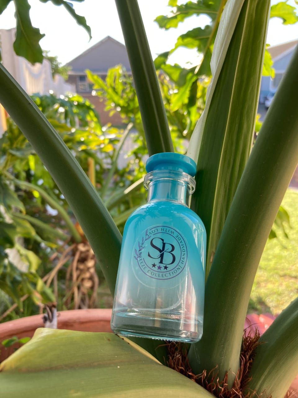 60ML MALES FRAGRANCES