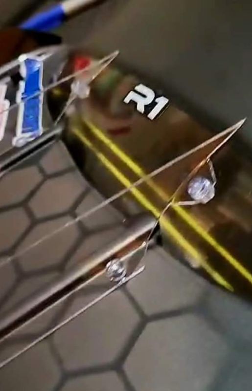 Shark Freakshow Wing "With Fins"