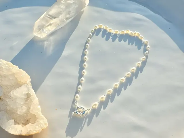 Silver Salar Choker