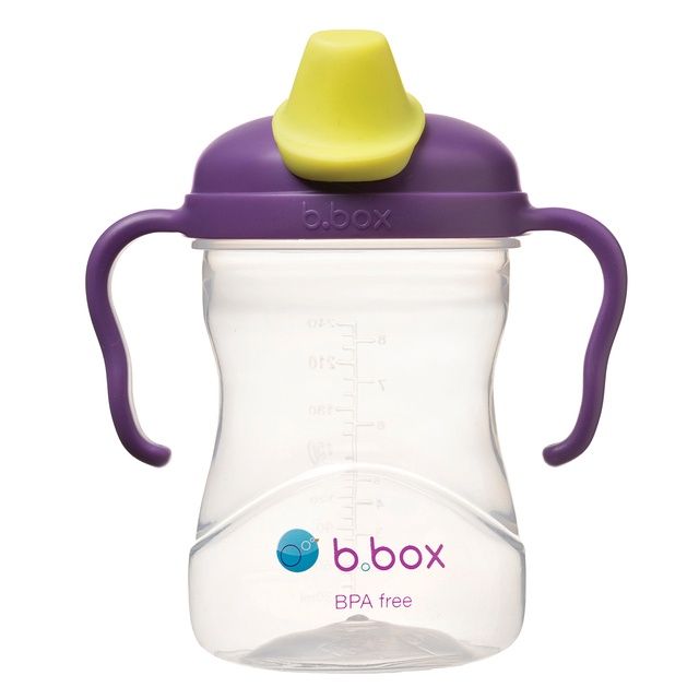 B.Box Spout Cup