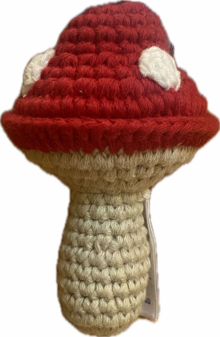 Crochet Mushroom
