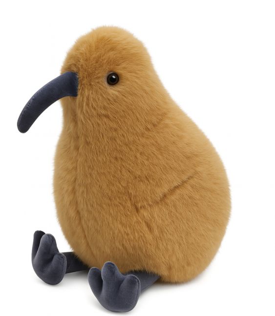 Koko the Kiwi