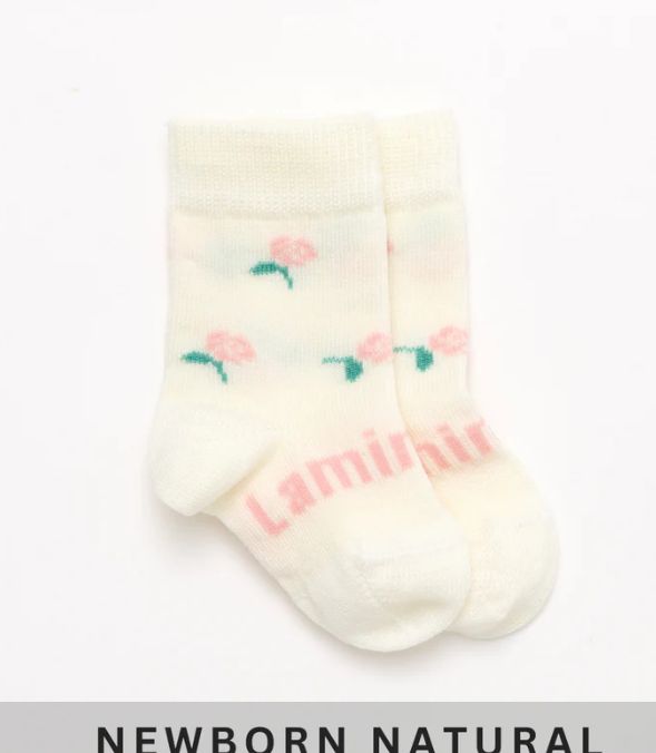 Lamington Crew Socks _ Rosa