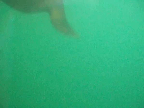 Experiencia de Buceo