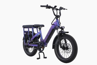 AIMA Big Sur Cargo 15A 20" E-Bike Chameleon / One Size