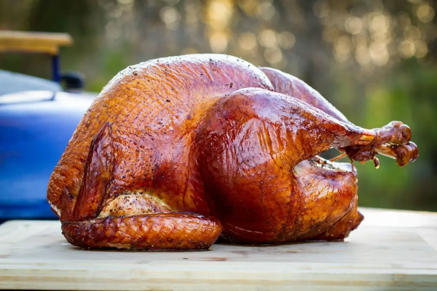 Thanksgiving On The Grill - November 15th - 4PM