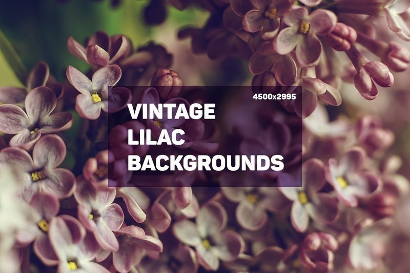 20 Vintage Lilac Backgrounds