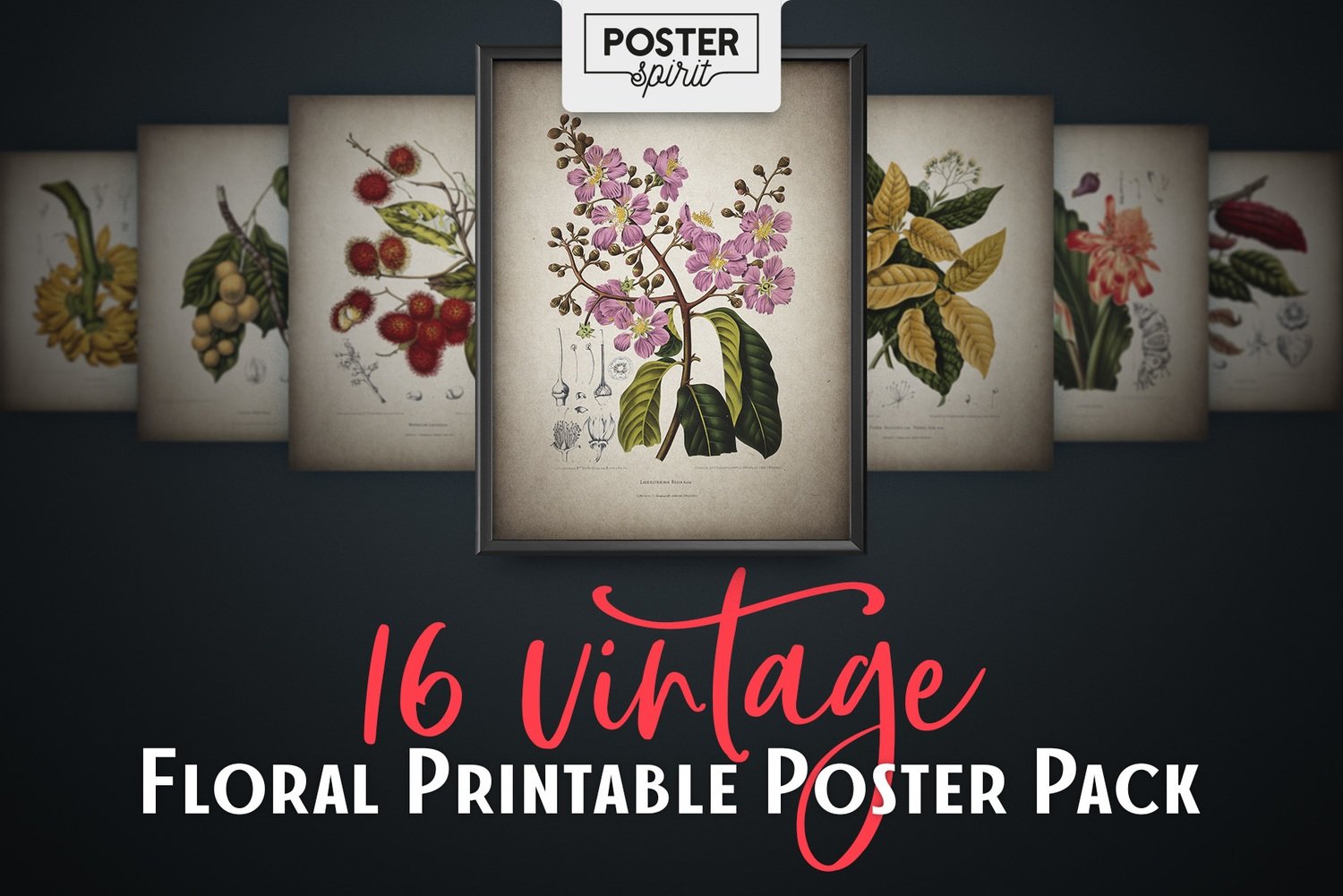 16 Vintage Floral Printable Botanical Poster Pack