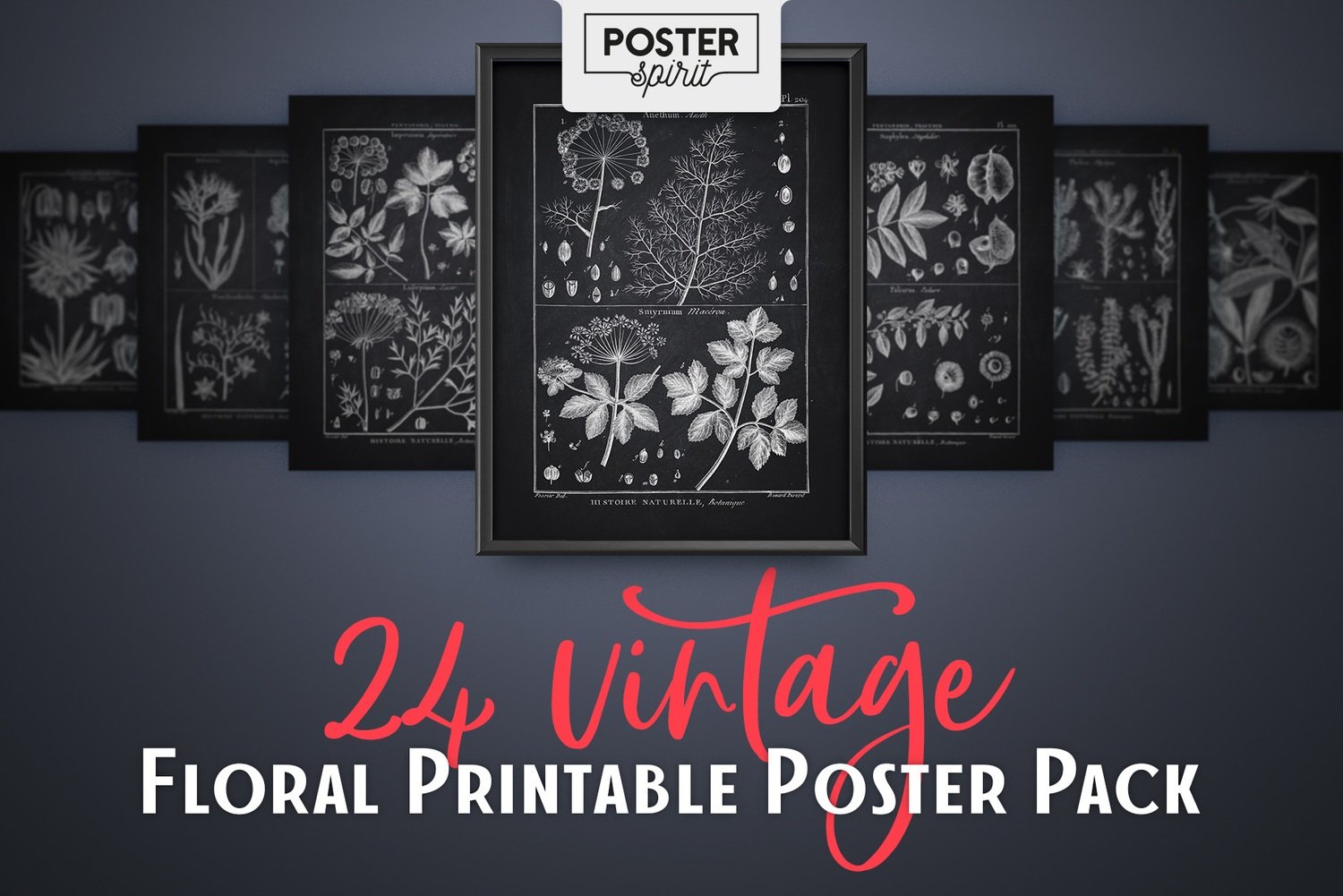 24 Black Vintage Floral Printable Botanical Poster Pack