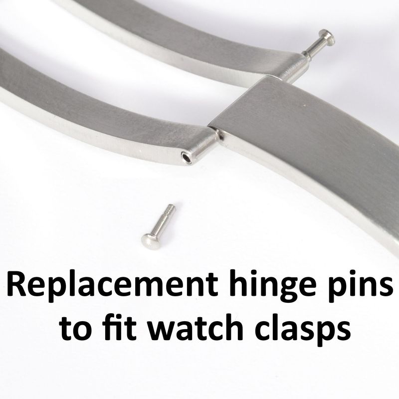 Pins for watch clasps
