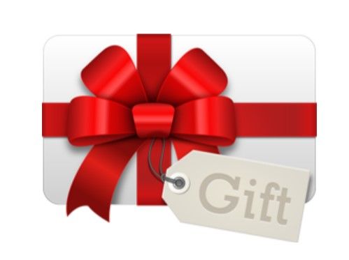 1 - Semi-private* Lesson - 2- 4 people - 50 Minutes - $80.00 per person