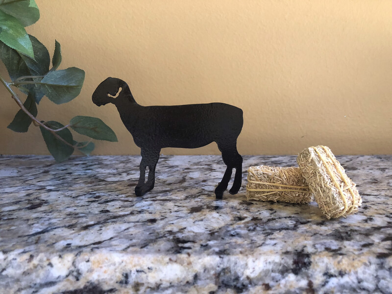 Farm - Sheep